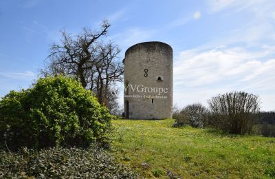 Kasteel te koop Monflanquin, Nouvelle-Aquitaine, Toren