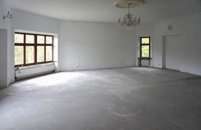 Burcht te koop Zagórzany, Klein-Polen, Interiør 1