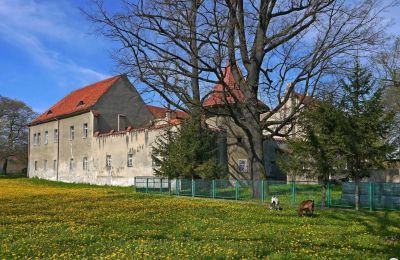 Kasteel te koop Bielawa, Wolności 92, Neder-Silezië, Foto 4/7