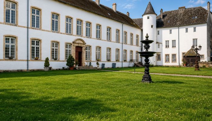 Kasteel te koop Roussy-le-Bourg, Grand-Est