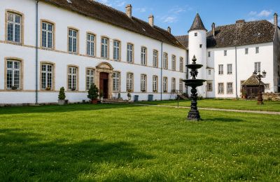 Historisch vastgoed, Uitzonderlijke Verkoop: Château de Roussy-Comté, op Slechts Een Steenworp van Luxe