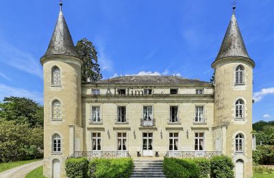 Kasteel te koop Centre-Val de Loire, Vooraanzicht