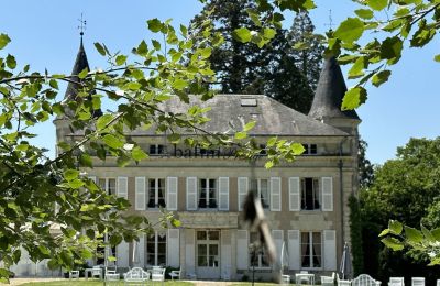 Kasteel te koop Centre-Val de Loire, Achteraanzicht
