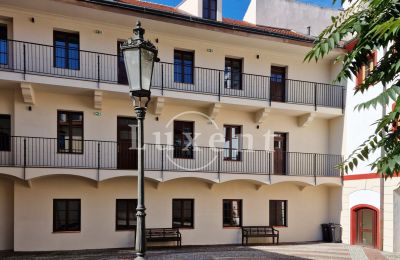 Herenhuis te koop Litoměřice, Mírové náměstí 12/4, okres Litoměřice, Foto 13/16