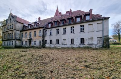 Kasteel te koop Grabiszyce Średnie, Neder-Silezië, Achteraanzicht