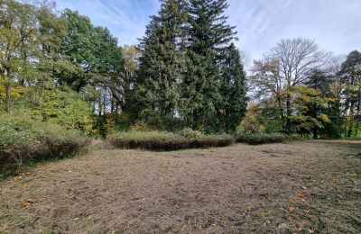Kasteel te koop Grabiszyce Średnie, Neder-Silezië, Park