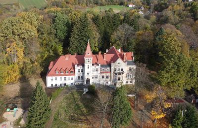 Kasteel te koop Grabiszyce Średnie, Neder-Silezië, Pałac Grabiszyce Średnie