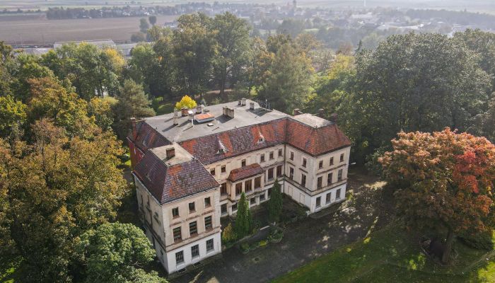 Kasteel te koop Wojnowice, Silezië,  Polen