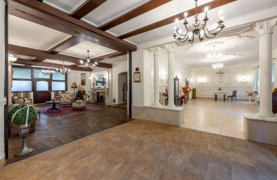 Kasteel te koop Wojnowice, Pałacowa, Silezië, Foto 4/15