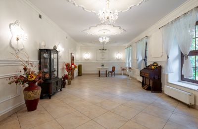 Kasteel te koop Wojnowice, Pałacowa, Silezië, Foto 10/15