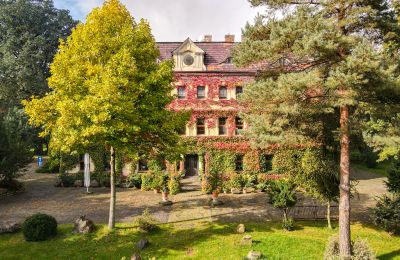 Kasteel te koop Wojnowice, Pałacowa, Silezië, Foto 15/15