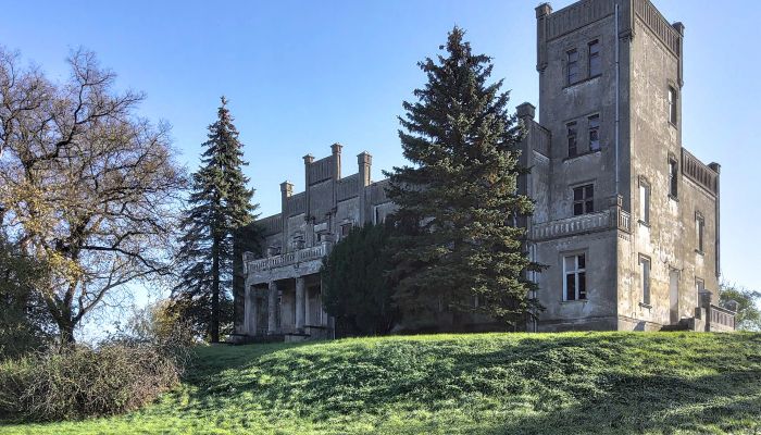 Kasteel te koop Górki Dąbskie, Koejavië-Pommeren,  Polen