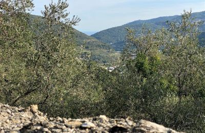 Landelijk pand te koop Pontedassio, Ligurië, Foto 9/25