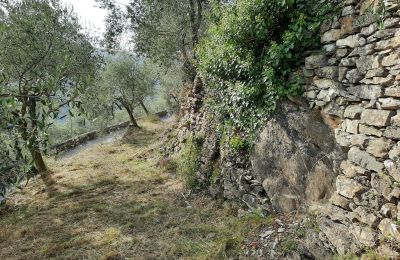 Landelijk pand te koop Pontedassio, Ligurië, Foto 11/25