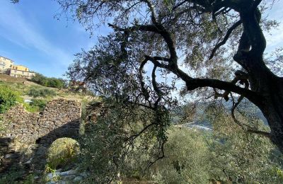 Landelijk pand te koop Pontedassio, Ligurië, Foto 16/25