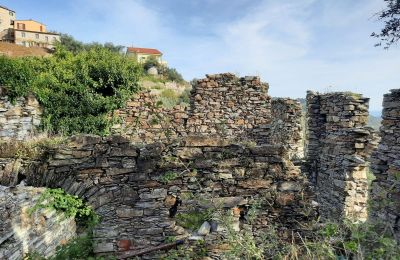 Landelijk pand te koop Pontedassio, Ligurië, Foto 5/25