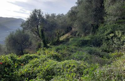 Landelijk pand te koop Pontedassio, Ligurië, Foto 17/25