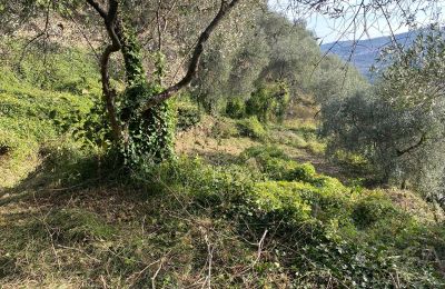 Landelijk pand te koop Pontedassio, Ligurië, Foto 18/25