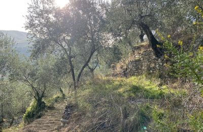 Landelijk pand te koop Pontedassio, Ligurië, Foto 19/25