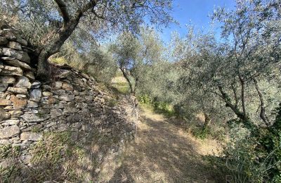 Landelijk pand te koop Pontedassio, Ligurië, Foto 20/25