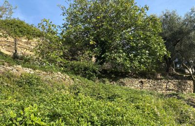 Landelijk pand te koop Pontedassio, Ligurië, Foto 21/25