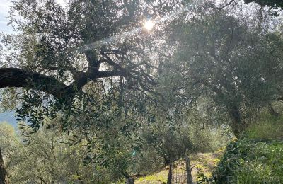 Landelijk pand te koop Pontedassio, Ligurië, Foto 22/25