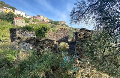 Landelijk pand te koop Pontedassio, Ligurië, Foto 7/25