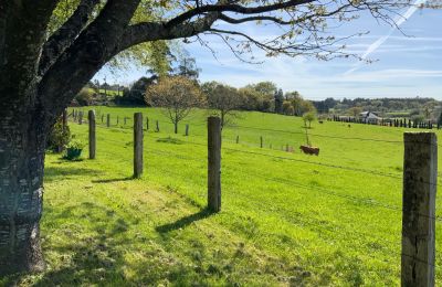 Landelijk huis te koop Melide, Cabazás, Galicië, Campo de la propiedad
