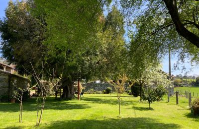 Landelijk huis te koop Melide, Cabazás, Galicië, Tuin