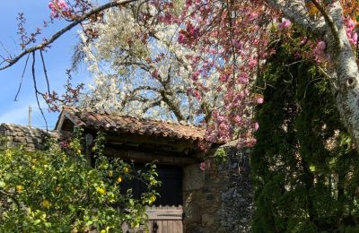 Landelijk huis te koop Melide, Cabazás, Galicië, Rijtuig ingang