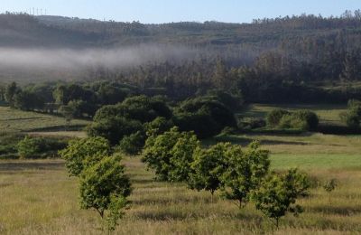 Landelijk huis te koop Moeche, Sta Cruz de Moeche, Galicië, Omgeving van het pand