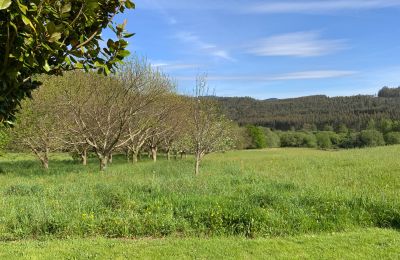 Landelijk huis te koop Moeche, Sta Cruz de Moeche, Galicië, Eigendom
