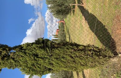 Landelijk huis te koop Almagro, Almagro, Castilla-La Mancha, Eigendom