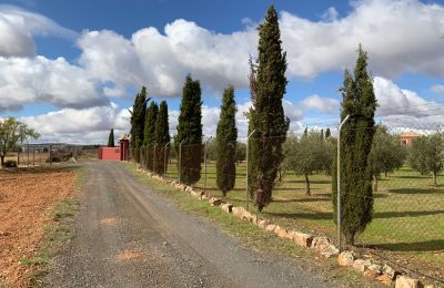Landelijk huis te koop Almagro, Almagro, Castilla-La Mancha, Toegang
