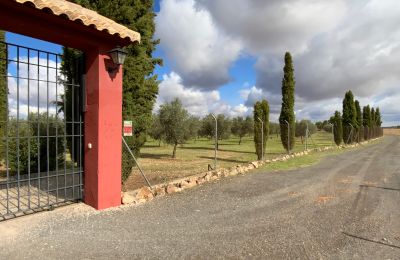 Landelijk huis te koop Almagro, Almagro, Castilla-La Mancha, Toegang