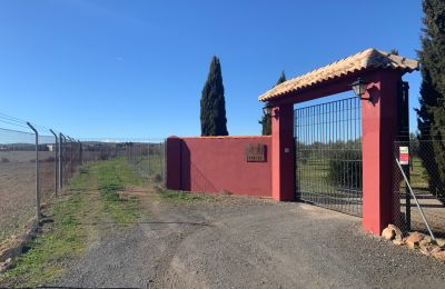 Landelijk huis te koop Almagro, Almagro, Castilla-La Mancha, Entrada