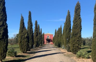 Landelijk huis te koop Almagro, Almagro, Castilla-La Mancha, Entrada arbolada con cipreses
