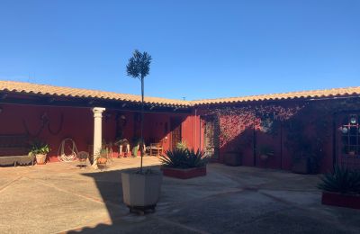 Landelijk huis te koop Almagro, Almagro, Castilla-La Mancha, Binnenplaats