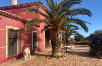 Landelijk huis te koop Almagro, Almagro, Castilla-La Mancha, Fachada