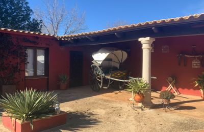 Landelijk huis te koop Almagro, Almagro, Castilla-La Mancha, Patio y carruaje