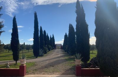 Landelijk huis te koop Almagro, Almagro, Castilla-La Mancha, Toegang