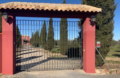 Landelijk huis te koop Almagro, Almagro, Castilla-La Mancha, Ingang