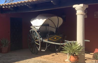 Landelijk huis te koop Almagro, Almagro, Castilla-La Mancha, Carruaje