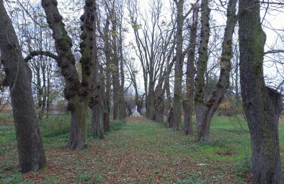Kasteel te koop Karszew, Groot-Polen, Toegang