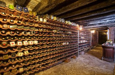 Kasteel te koop Soria, Medinaceli, Castilla y León, Wijnkelder