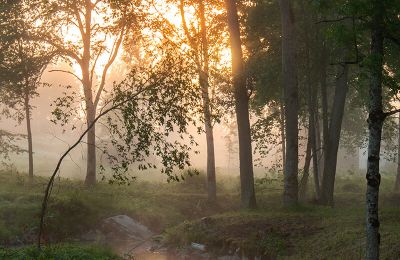 Landhuis te koop Virķēni, Vidzeme, Foto 18/23
