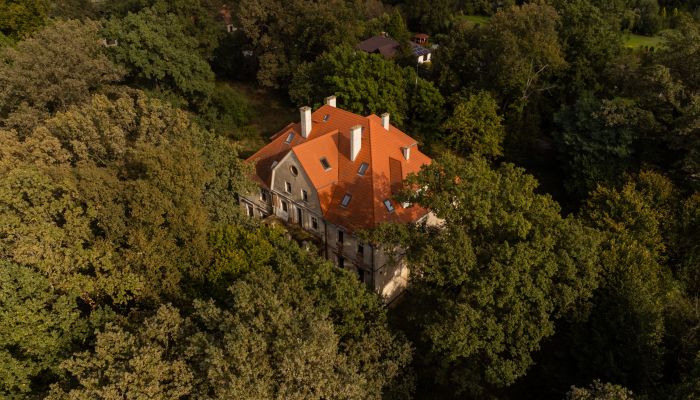 Kasteel te koop Wilków, Opole,  Polen