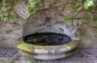 Historische villa te koop Vernaison, Auvergne-Rhône-Alpes, Foto 17/29
