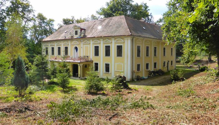 Kasteel te koop Plzeňský kraj, okres Klatovy, Klatovy,  Tsjechische Republiek