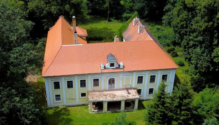 Kasteel te koop Plzeňský kraj, okres Klatovy, Klatovy,  Tsjechische Republiek